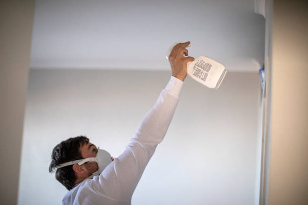 Best Emergency Mold Removal  in Inniswold, LA