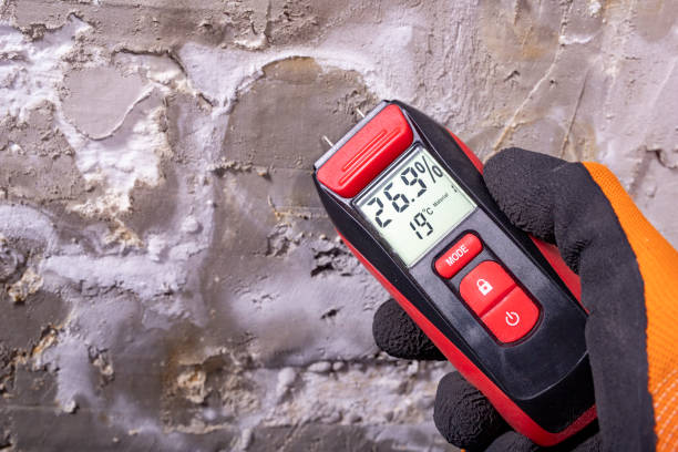 Mold Removal and Inspection in Inniswold, LA
