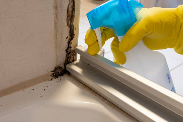 Best Residential Mold Removal  in Inniswold, LA