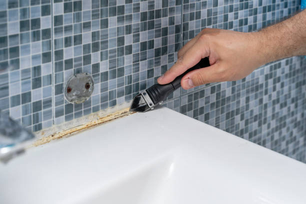 Best Best Mold Removal Companies  in Inniswold, LA