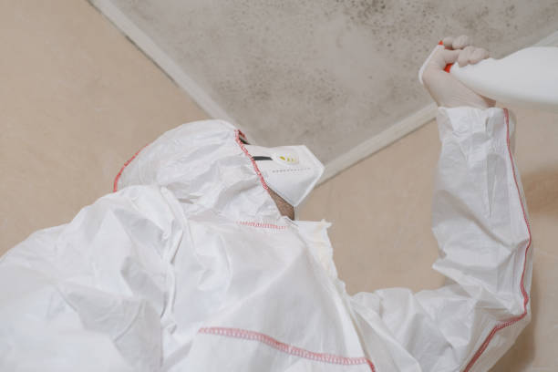 Best Office Mold Removal Services  in Inniswold, LA