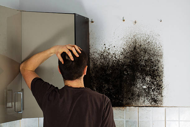 Best Emergency Mold Removal  in Inniswold, LA